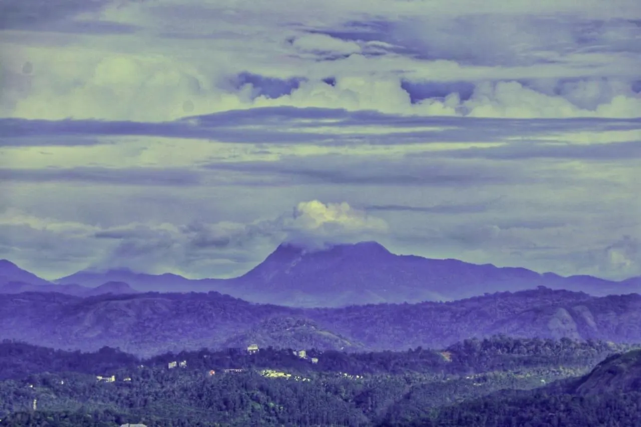 Wild Mist Homestay Munnar India
